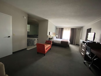 Suite, 1 King Bed with Sofa bed, Non Smoking, Jetted Tub (with Sofabed)