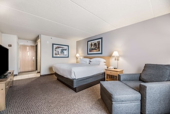 Room, 1 King Bed