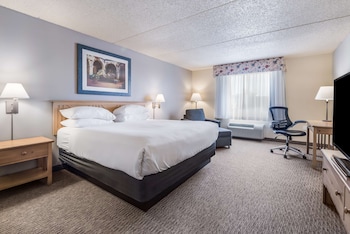Room, 1 King Bed