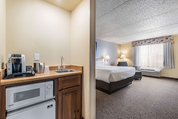 Room, 1 King Bed