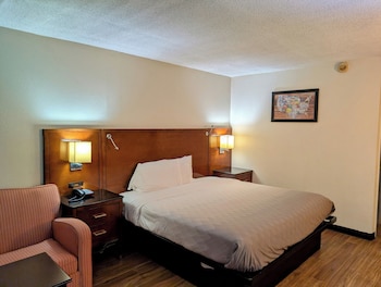 Executive Room, 1 King Bed, Non Smoking