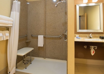Room, 1 King Bed, Accessible, Non Smoking