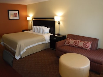 Room, 1 King Bed, Non Smoking