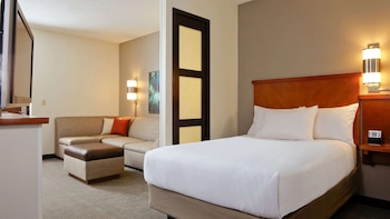 Room, 1 King Bed with Sofa bed, Accessible (Mobility Roll in Shower)