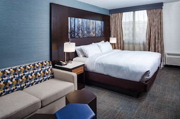 Room, 1 King Bed, Accessible (Roll-In Shower)