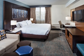 Room, 1 King Bed, Lake View
