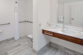 Suite, Accessible, Non Smoking
