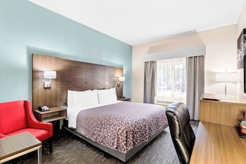 Standard Room, 1 King Bed, Accessible, Non Smoking