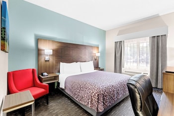 Standard Room, 1 King Bed, Accessible, Bathtub
