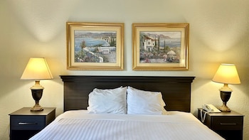 Basic Room, 1 King Bed