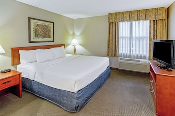 Deluxe Suite, 1 Bedroom, Non Smoking (1 King Bed)