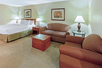 Studio Suite, 1 King Bed, Accessible, Non Smoking