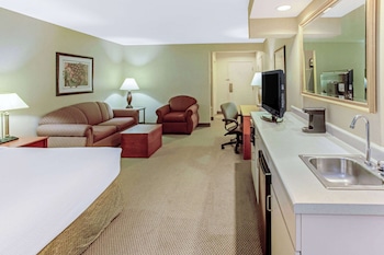 Studio Suite, 1 King Bed, Accessible, Non Smoking