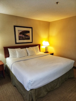 Studio Suite, 1 King Bed, Accessible, Non Smoking