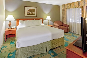 Deluxe Suite, 1 Bedroom, Non Smoking (1 King Bed)