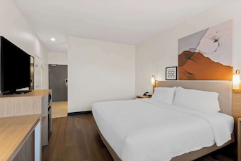 Room, 1 King Bed with Sofa bed (Larger)