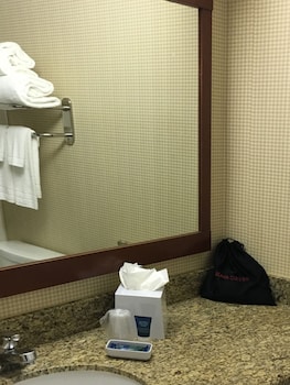 Room, 1 King Bed (Mobility/Hearing Access, Roll-in Shwr)