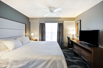 Suite, 1 Bedroom, Non Smoking (1 Kingbed & 1 Sofa bed)