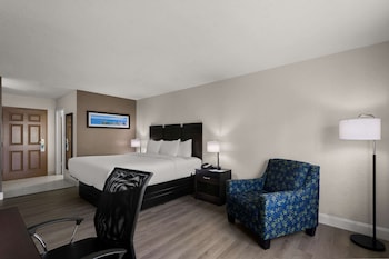 Standard Room, 1 King Bed, Non Smoking
