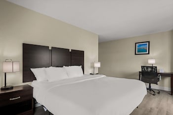Room, 1 King Bed, Accessible, Non Smoking