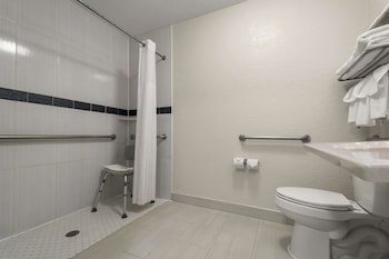 Room, 1 King Bed, Accessible, Non Smoking (Roll-In Shower)