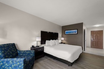 Room, 1 King Bed, Accessible, Non Smoking (Roll-In Shower)