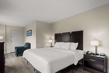 Room, 1 King Bed, Accessible, Non Smoking (Roll-In Shower)
