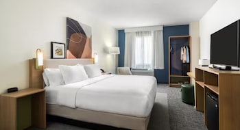 Room, 1 King Bed with Sofa bed