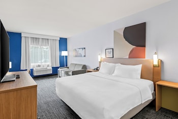 Room, 1 King Bed with Sofa bed