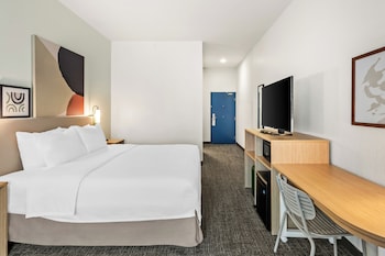 Room, 1 King Bed, Accessible (Mobility & Roll-In Shower)