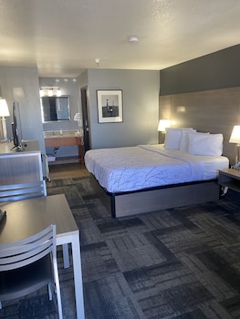 Suite, 1 Bedroom