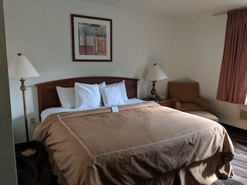 Room, 1 King Bed, Non Smoking