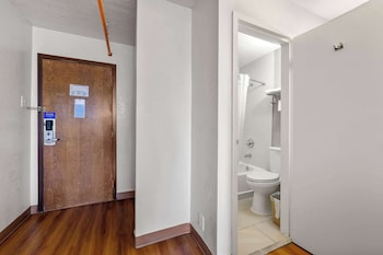 Premium Room, 1 King Bed, Refrigerator & Microwave
