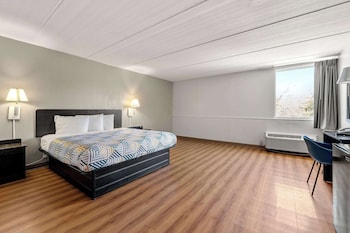 Premium Room, 1 King Bed, Refrigerator & Microwave
