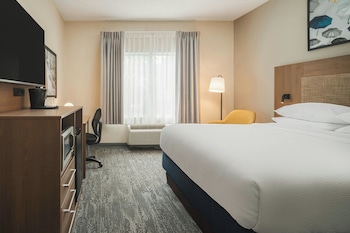 Room, 1 King Bed
