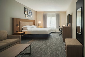 Suite, 1 King Bed with Sofa bed