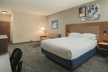 Suite, 1 King Bed with Sofa bed