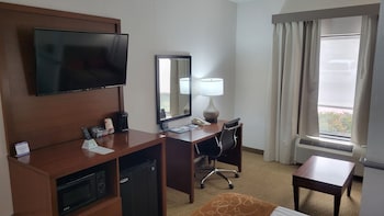 Suite, 1 King Bed with Sofa bed, Accessible, Non Smoking