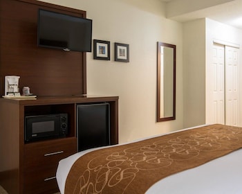 Standard Room, 1 King Bed with Sofa bed, Non Smoking