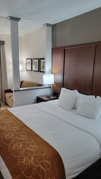 Suite, 1 King Bed with Sofa bed, Accessible, Non Smoking