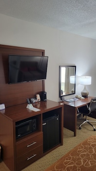 Standard Room, 1 King Bed with Sofa bed, Non Smoking