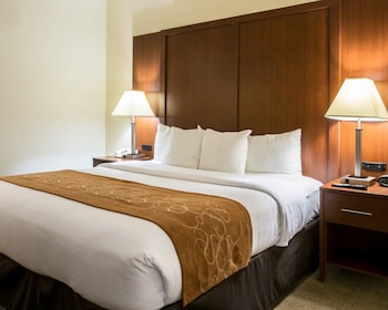 Standard Room, 1 King Bed with Sofa bed, Non Smoking