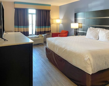 Room, 1 King Bed, Accessible, Non Smoking
