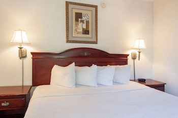 Deluxe Suite, 1 King Bed, Kitchen