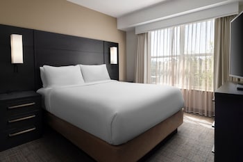 Studio, 1 Queen Bed with Sofa bed
