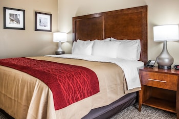 Standard Room, 1 King Bed, Accessible, Non Smoking