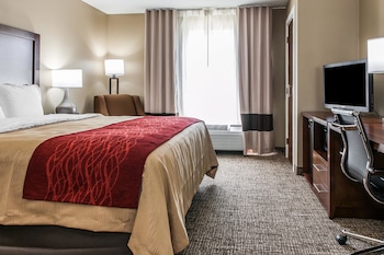 Standard Room, 1 King Bed, Accessible, Non Smoking