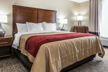 Standard Room, 1 King Bed, Accessible, Non Smoking