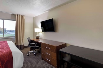 Room, 1 King Bed, Non Smoking
