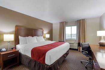 Room, 1 King Bed, Non Smoking